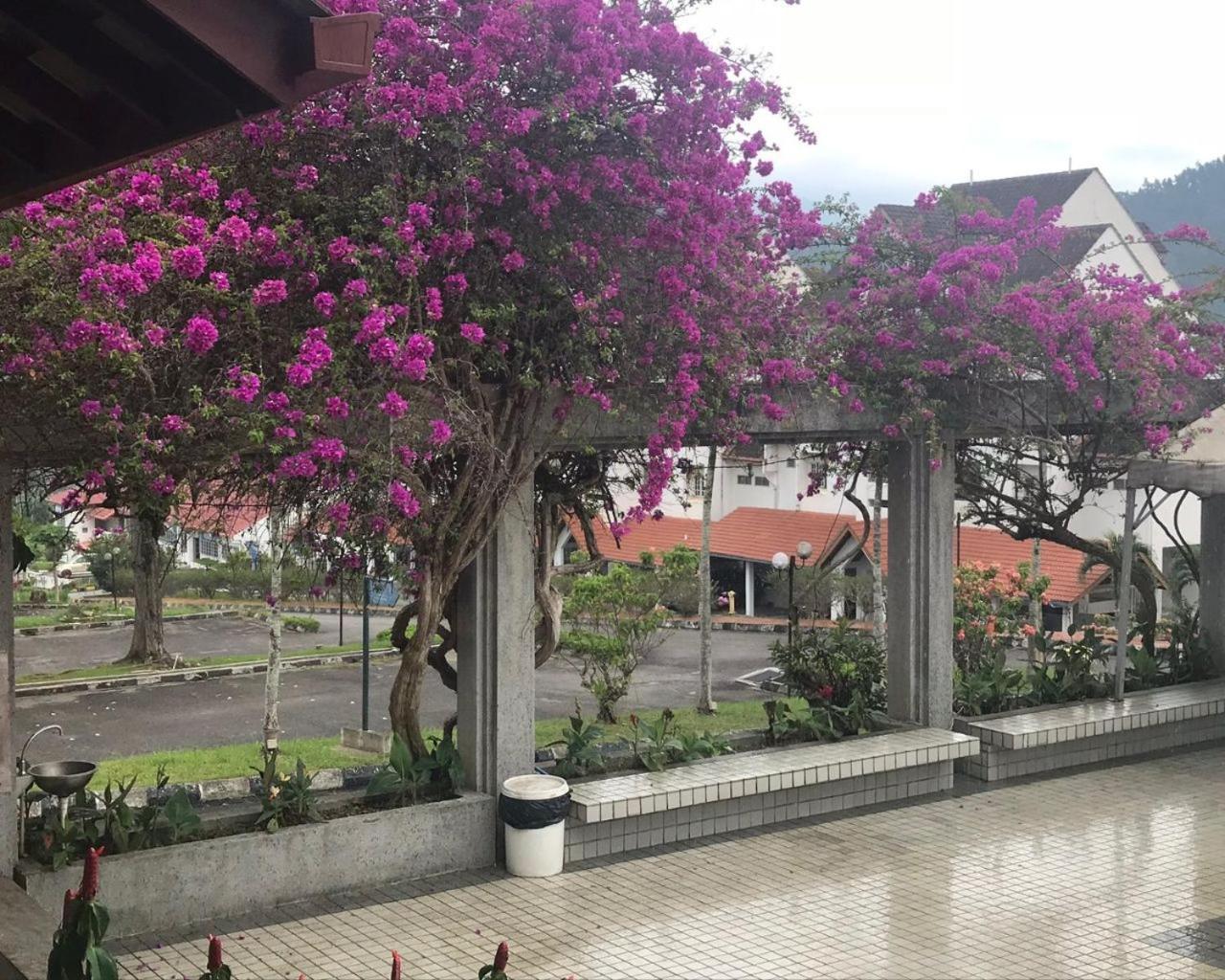 La Bella in Selesa Hillhomes Bukit Tinggi, Genting Bentong Exterior foto